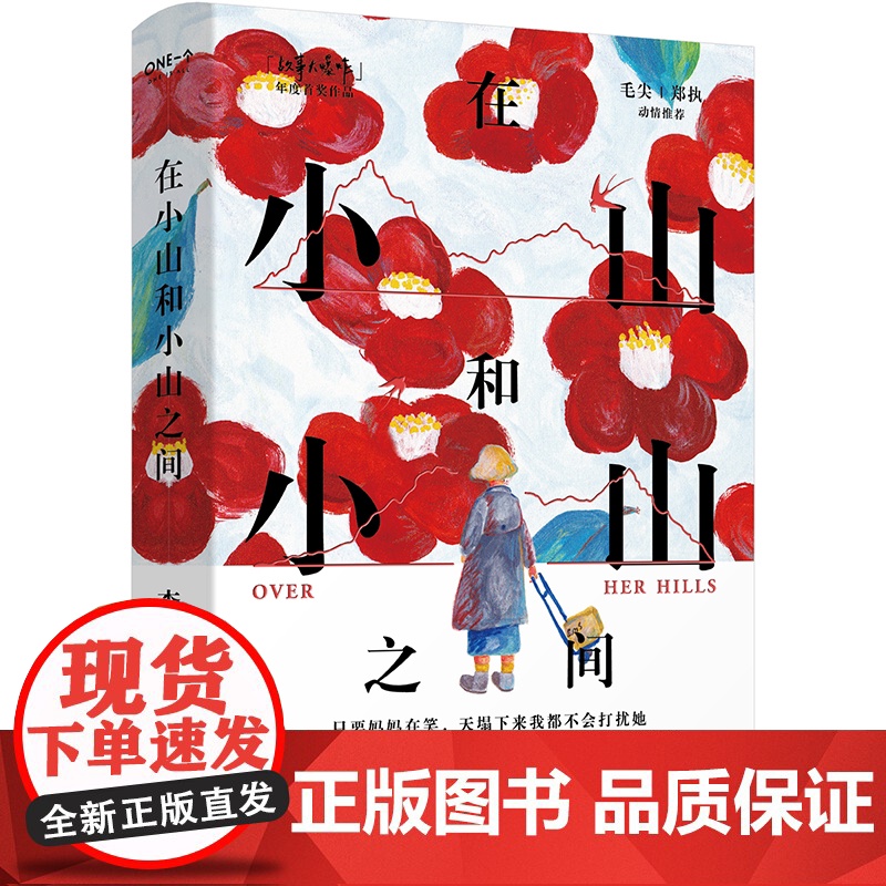 [精装印签刷边版+小花书签]在小山和小山之间 李停著上海文艺出版万人流泪热评8.1分魔力小书为什么妈妈总是不快乐毛尖郑执高清大图