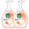 滴露玻尿酸泡沫抑菌洗手液西柚香型250ml*2儿童泡泡洗手液 有效抑菌