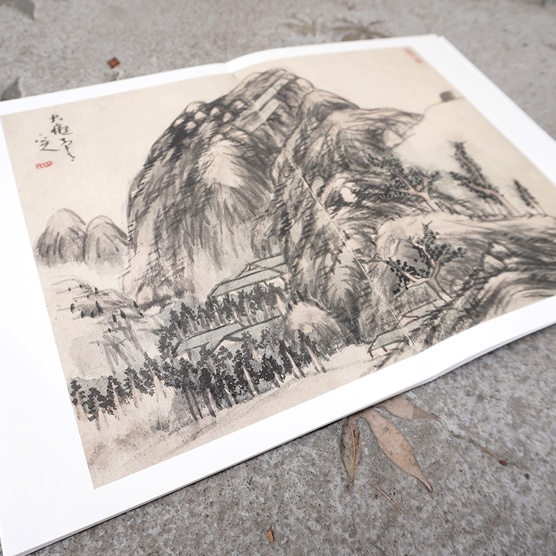 [正版]中国名绘集珍:八大山人天光云景册 清代山水画 原色高清印制细节装裱临摹赏玩皆宜 经折装中国画典范范本绘画作品赏高清大图