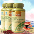 金奥力破壁灵芝孢子粉胶囊60粒专柜版3瓶