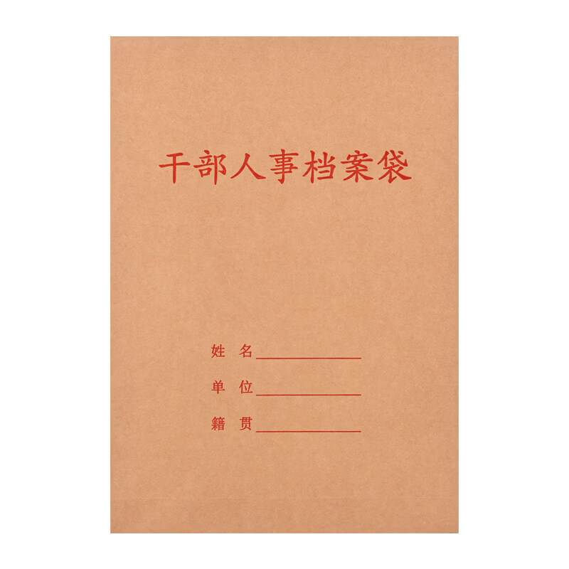 干部人事职工档案配套牛皮纸a4散材料干部人事档案袋备用袋十大类 10只装高清大图