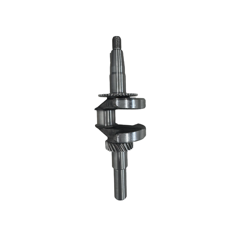 瑞智晟明(RZSM)曲轴RZSM-FDJ200高清大图