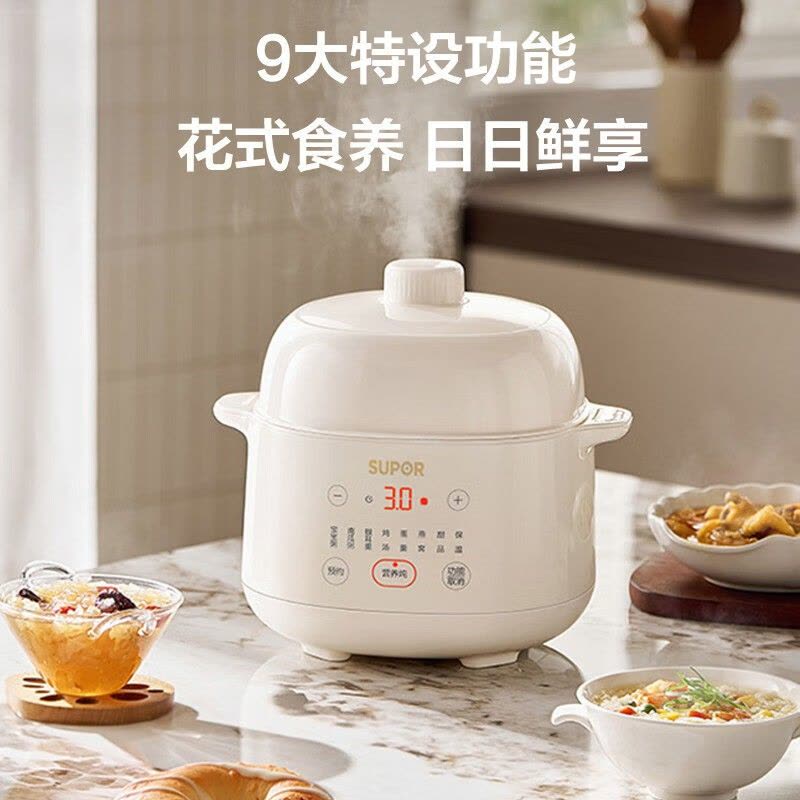 苏泊尔电炖锅DZ15YC897 1-2L单胆机械控温 预约功能甜品专用 2-3人适用轻巧3kg图片