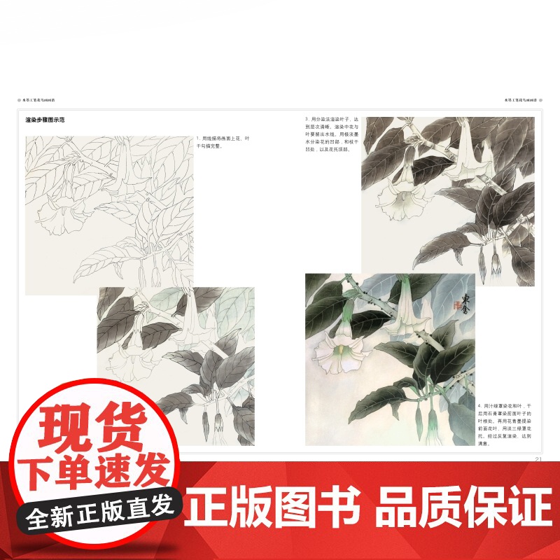 水墨工笔花鸟画画谱 上海人民美术出版社高清大图