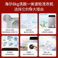 海尔(Haier)8KG全自动波轮洗衣机家用节能智能预约 租房宿舍