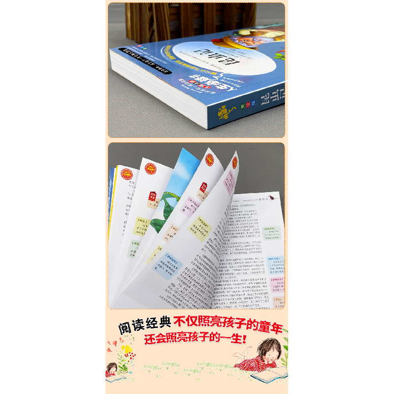 醉染图书昆虫记 美绘版9787533041755高清大图