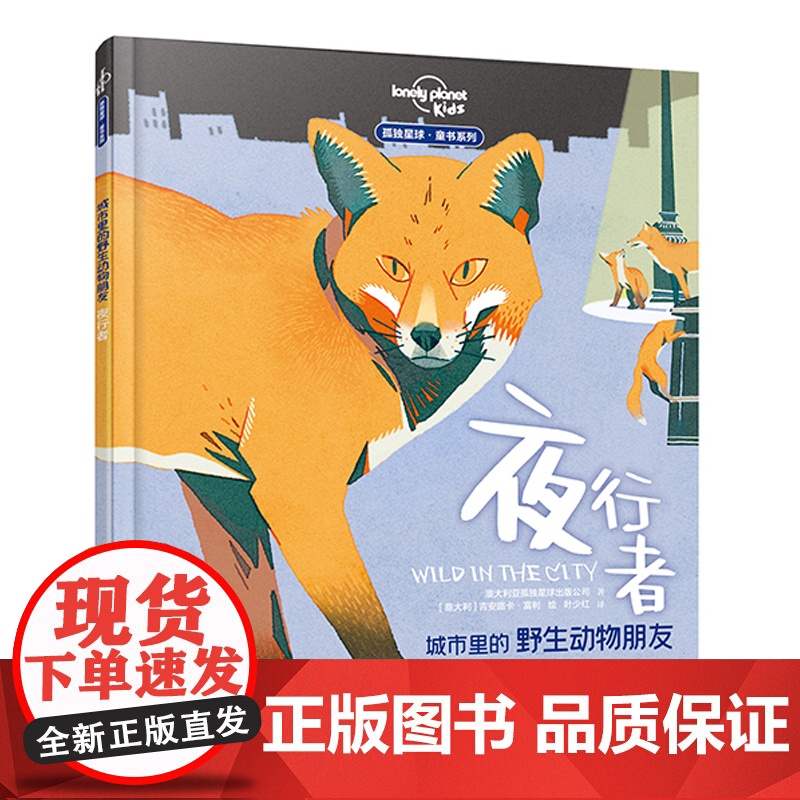 城市里的野生动物朋友:夜行者高清大图