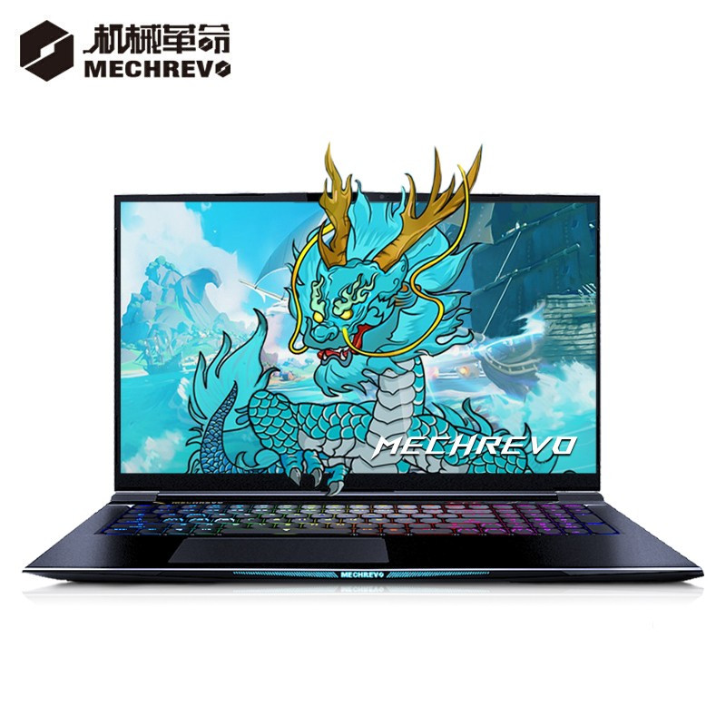 机械革命(MECHREVO)蛟龙17.3英寸游戏本笔记本7X-97Q(R9-5900HX/RTX3070-8G/ 16G+512G PCIE /165Hz100%sRGB 2K)