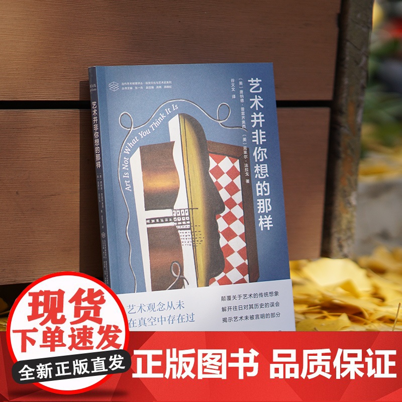 艺术并非你想的那样 当代学术棱镜译丛 颠覆关于艺术的传统想象解开往日对其历史的误会,揭示艺术未被言明的部分 南京大学出版高清大图