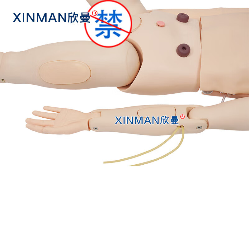 欣曼科教 高级成人护理及CPR模拟人 全功能护理人模型XM-HL3000高清大图
