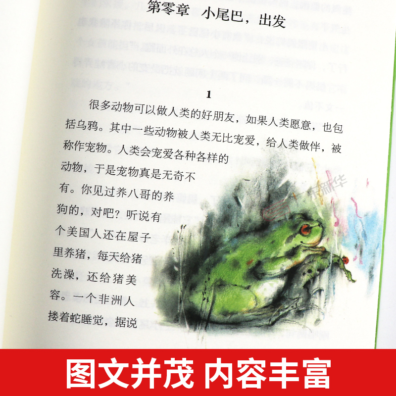 形影不离 [正版]形影不离青岛出版社薛涛稻田成长小说2023年广东朝阳读书四年级书香河南笔墨书香经典阅读小学生课外书高清大图