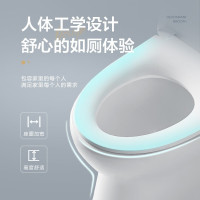 箭牌普通马桶座便器AE1126