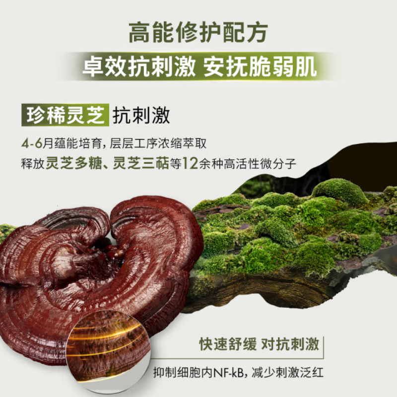 [国内专柜]悦木之源韦博士灵芝焕能强韧精华水200ml(菌菇水)高清大图