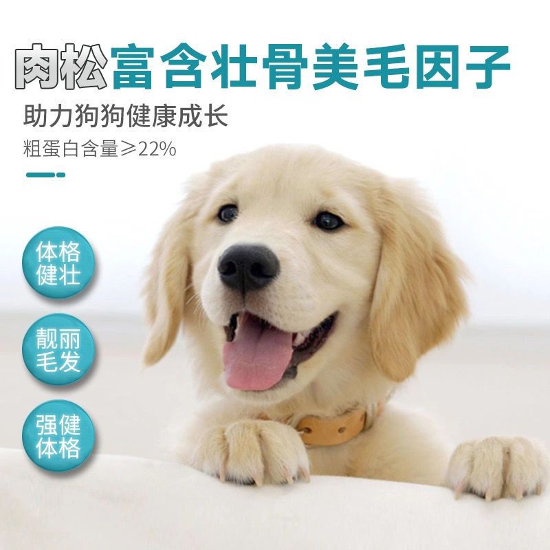5斤10斤通用型泰迪金毛比熊萨摩耶幼犬成犬大型犬中型犬土狗>800_800