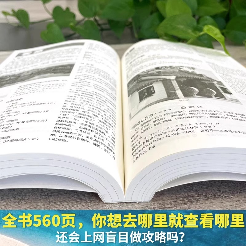 [正版] 中国自助游 国内自助旅行经典读本 国内旅游地图自助游攻略 中国旅游地图册名胜古迹景点旅行实拍线路图攻略游遍中高清大图