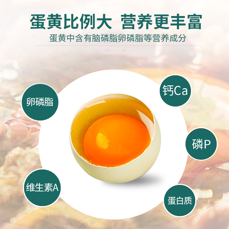 [神丹]绿壳鸡蛋可生食保洁蛋 20枚 黑鸡绿蛋新鲜散养鲜鸡蛋 保洁蛋高清大图