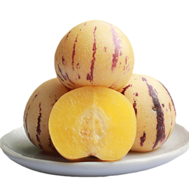 云南圆果人参果25斤七彩果新鲜时令水果