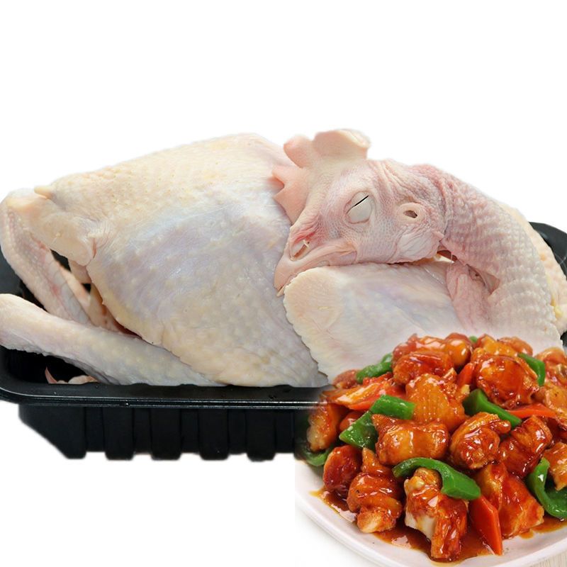 [精品土鸡]土公鸡草公鸡童子鸡农家散养鸡山林走地鸡农村整鸡 西装鸡