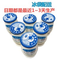 圣祥老北京酸奶乳酸菌发酵北京特产童年的味道 蜂蜜口味5瓶＋茯苓口味5瓶