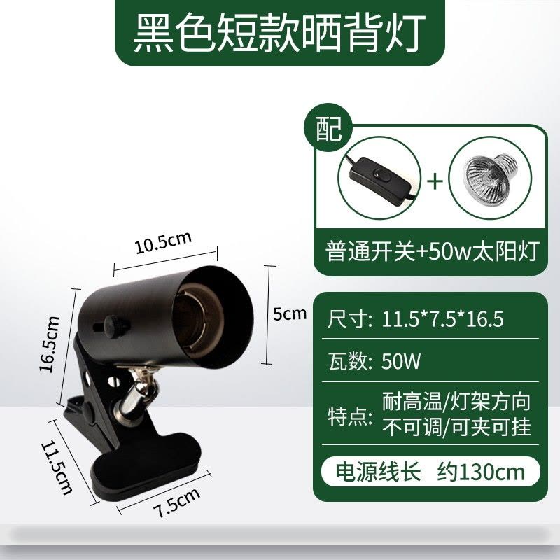 乌龟陶瓷加热灯泡温控保温加温取暖爬虫宠龟红外乌龟晒背灯图片