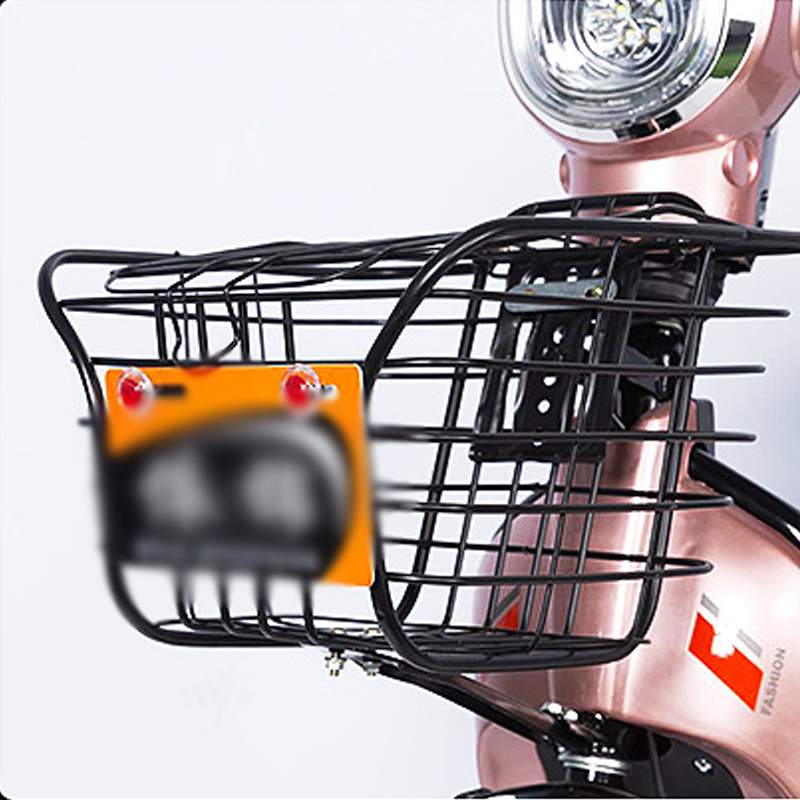 礼促优选 电瓶车