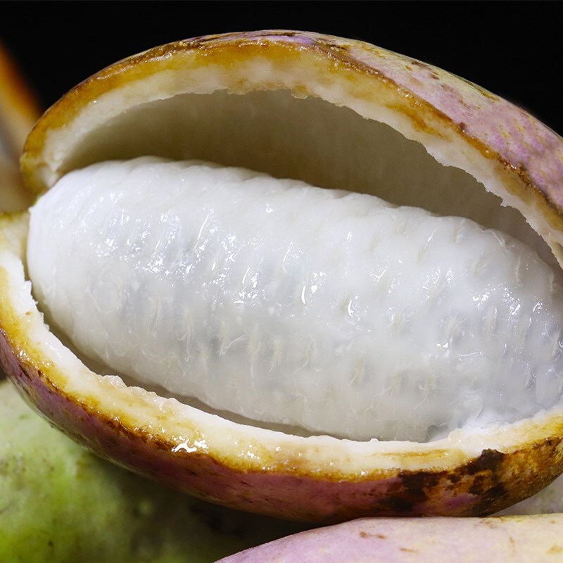 鲜木顺丰直发八月瓜网红八月炸老果农甄选新鲜应季孕妇水果稀有精品35