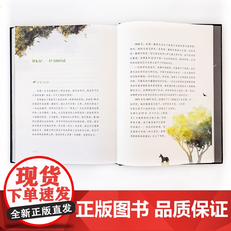 黑骏马 安娜·塞维尔 著 儿童文学高清大图