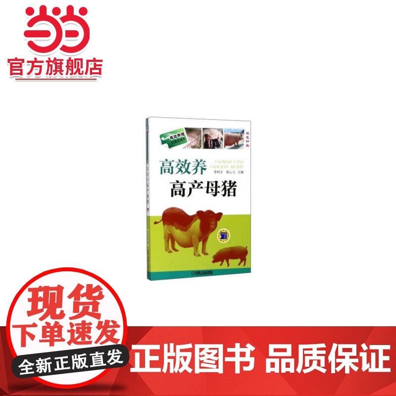 养高产母猪高清大图