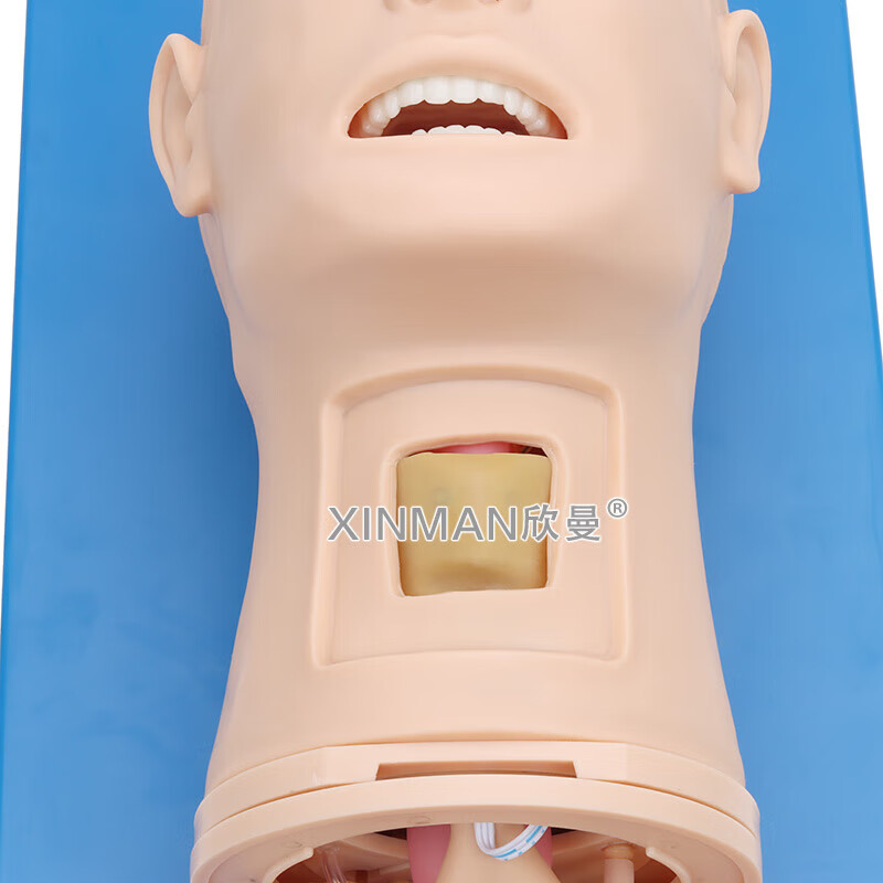 欣曼科教 高级气道管理模拟人 气管插管操作训练模型 卫勤训练模拟器材XM-QD12高清大图