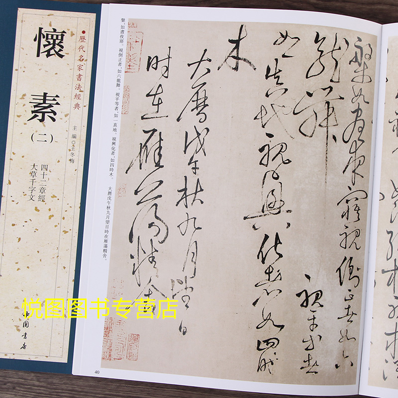[正版]共2册 怀素 一 二 怀素草书书法集 历代名家书法经典 附释文 大草小草千字文 四十二章经 自叙帖 圣母帖 藏真高清大图