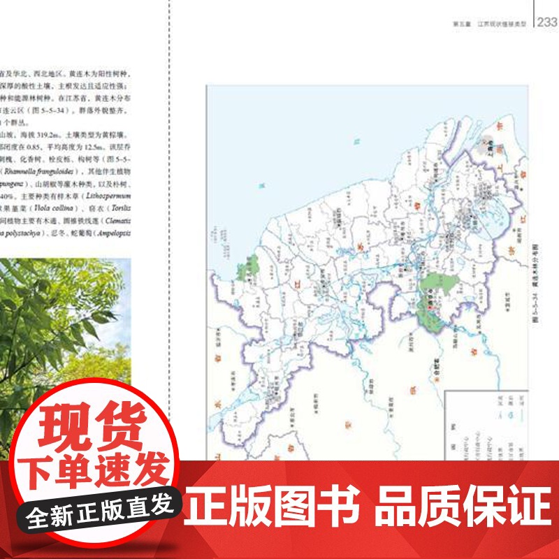 [店]江苏植被志 国家出版基金重点项目 东南缘人工植被结构与生态功能研究高清大图