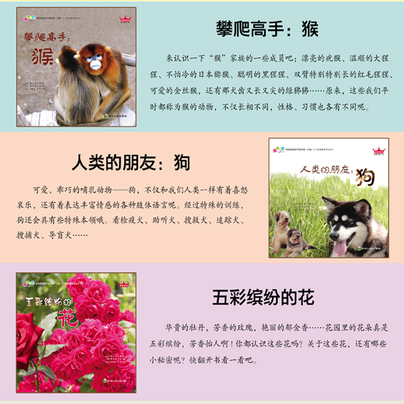 家庭亲子教育一方案自然系列感觉系列全10册0 3岁家教系列丛书启蒙认知绘本故事书幼儿早教书水果亲子早教图画故事书图片 高清实拍大图 苏宁易购