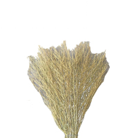 十方嘉笤帚扫帚大扫把