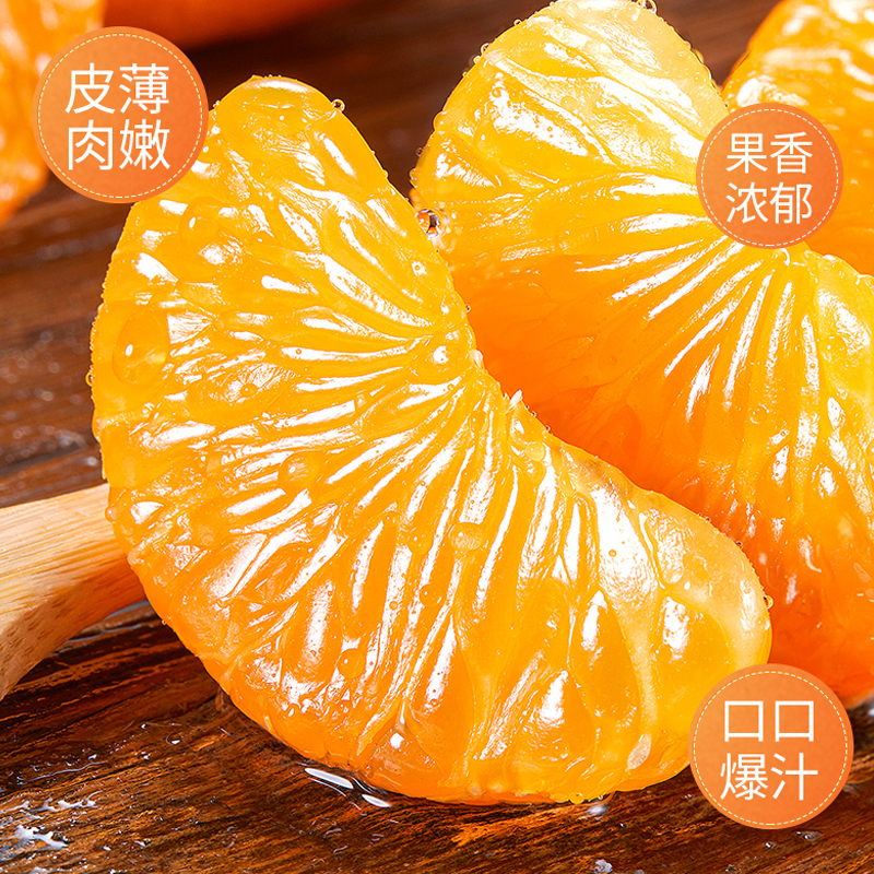 [西沛生鲜]海南新鲜沃柑 带箱5斤装 大果 3-5个/斤 时令现摘柑橘子当季蜜桔整箱新鲜水果