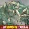 [优先发货]鱼网粘网三层渔网丝网挂网拦河工具渔具沾网粘鱼网网鱼网