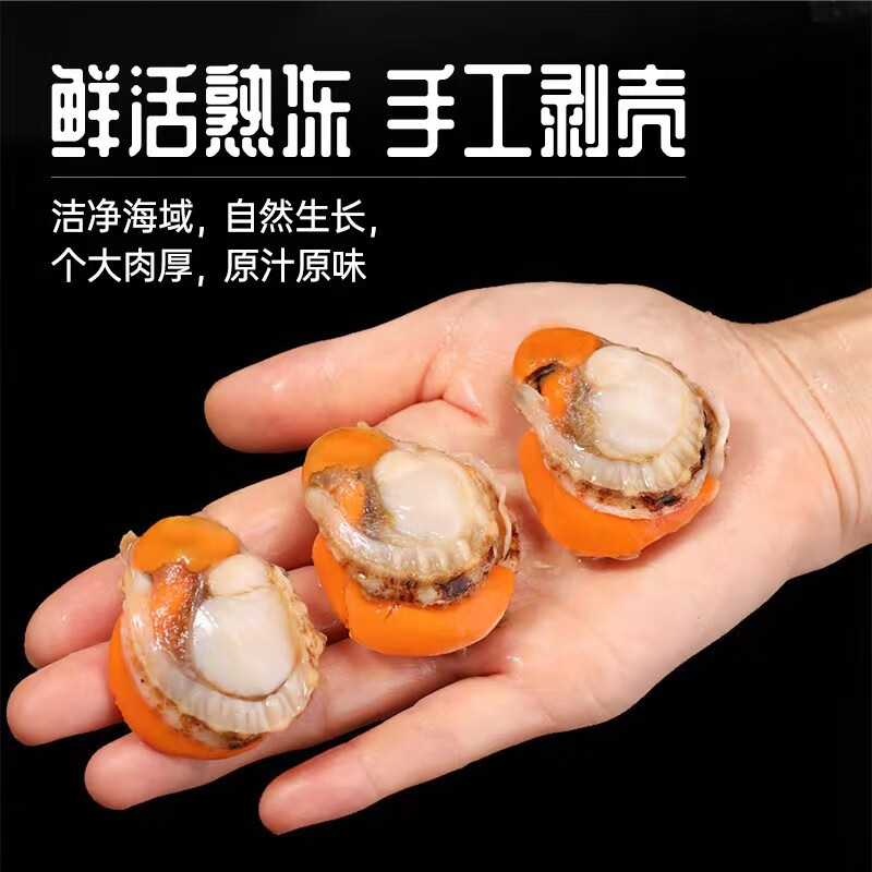 扇贝肉 袋装500g高清大图