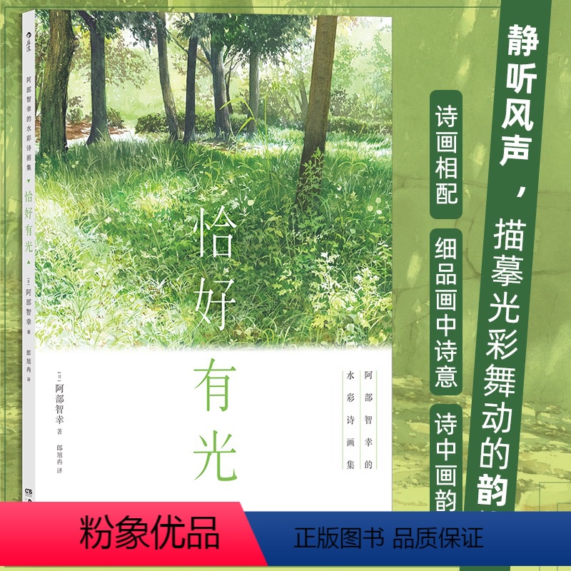 【正版】恰好有光 阿部智幸的水彩诗画集 配色构图晕染诗画相配 水彩教程艺术画集 书店书籍