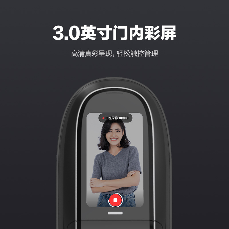 萤石智能锁DL31FVS全自动人脸识别锁 刷脸秒开可视对讲防盗门锁指纹锁电子密码锁