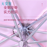 天堂 防风晴雨伞三折男女款雨伞商务伞 字母藏青
