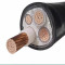 阿托拉思 电力电缆 YJV22-5*10/1/1米