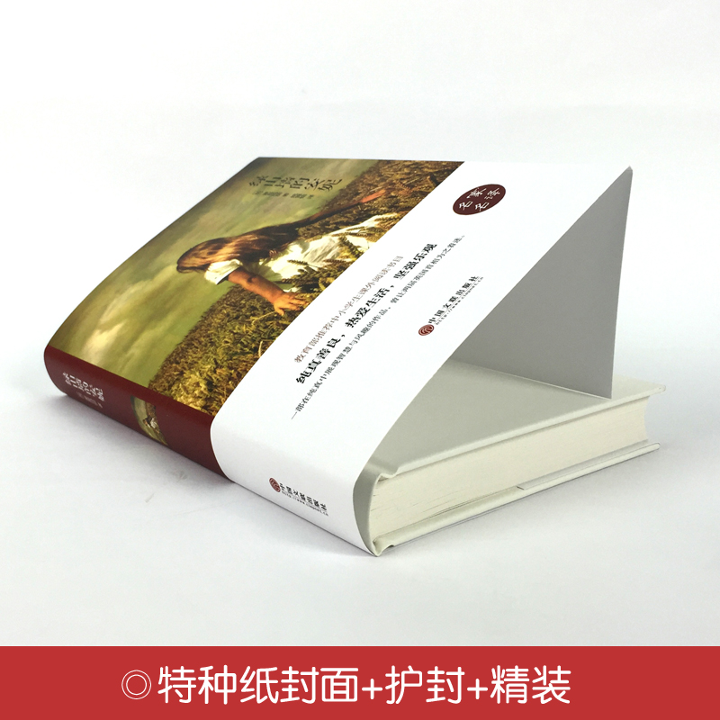 [正版] 绿山墙的安妮中小学生青少年成长课外读物/ 青少年版 7-9-12-15岁儿童文学文学名著高清大图