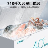 星星BD/BC-718GS 718升深冷低温冰柜-40℃商用大容量速冻水饺卧式冷冻柜家用鱼肉丸鲜肉雪柜全冷冻冷藏可转换