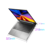 ThinkPad联想ThinkBook 14 升级 2021款 14英寸轻薄笔记本电脑(i5-1135G7 24G 1T固态+512G固态 MX450 2G显卡)