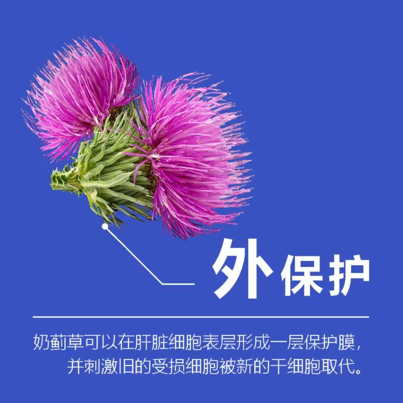 Nutrati澳力淳高含量奶蓟草护肝胶囊60粒新西兰原装进口草本精华高含量易吸收纯净配方高清大图