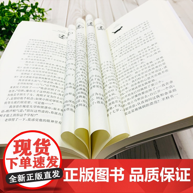 余宝的世界 正版黄蓓佳倾情小说,一部关注城市外来家庭孩子成长状态的作品高清大图