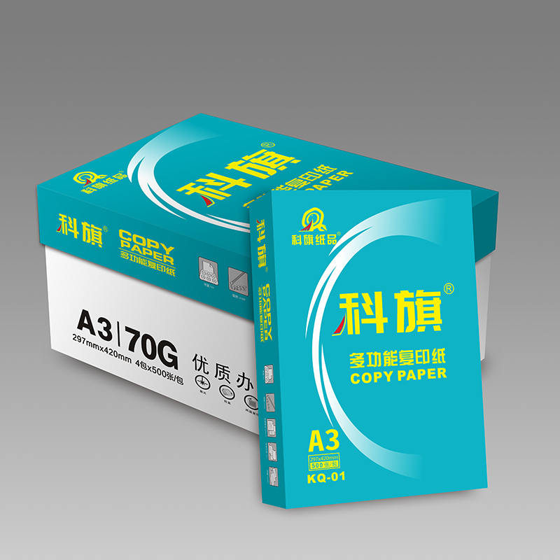 宣皇 科旗01号a4打印纸70g复印纸500张/包办公专用纸学生用纸a4打印白纸 科旗01号A4 70G 8包/箱高清大图