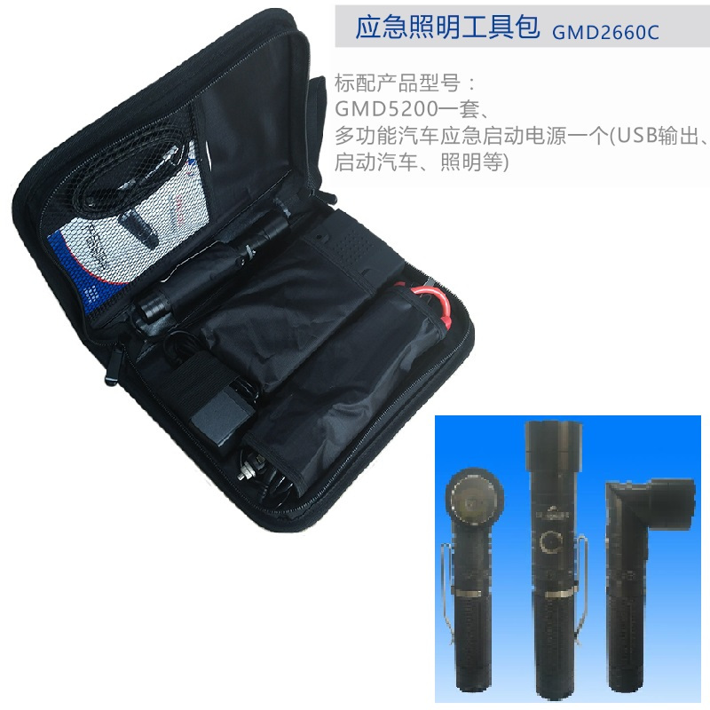 顶火 GMD2660C 应急照明组合箱 (计价单位:盏) 黑色高清大图