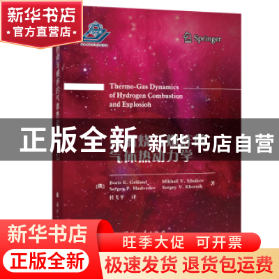 氢燃烧与爆炸的气体热动力学