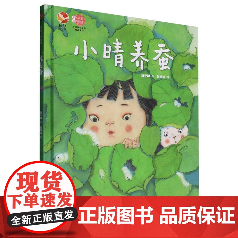 小晴养蚕(彩绘中国智慧)(精)/中国原创绘本精品系列高清大图