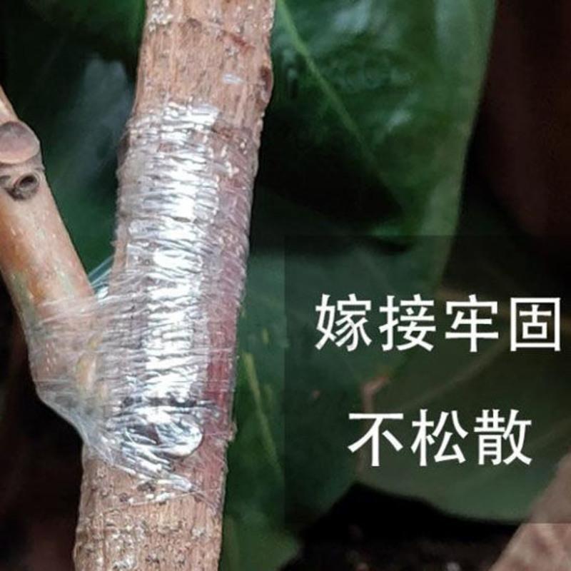 三卷嫁接膜 嫁接膜接树膜果树缠绕膜嫁接专用薄膜高品质自粘透明拉伸膜保温膜